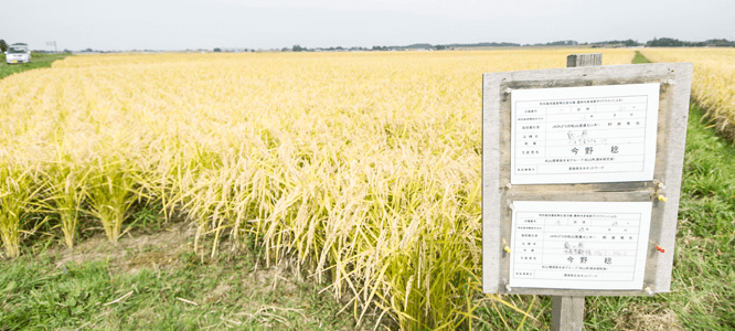 環境保全型農業の推進及び環境保全米の積極的採用