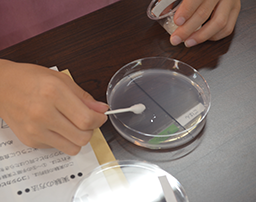 いちのくら微生物林間学校