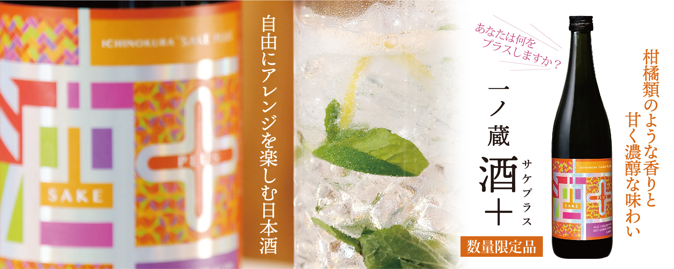 一ノ蔵 酒＋(サケプラス)